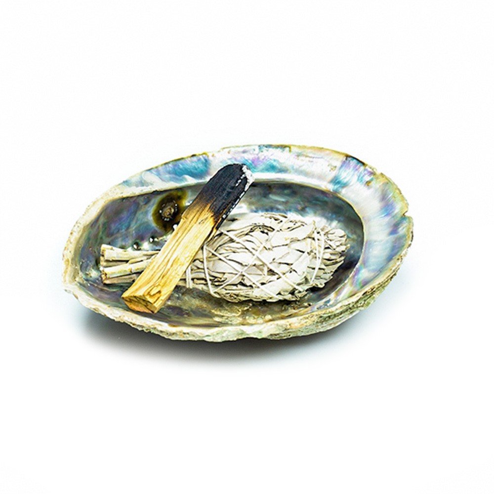 Natudos | Large Abalone Shell | Natural Smudge Holder