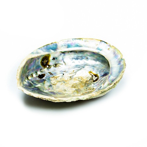 Natudos | Large Abalone Shell | Natural Smudge Holder